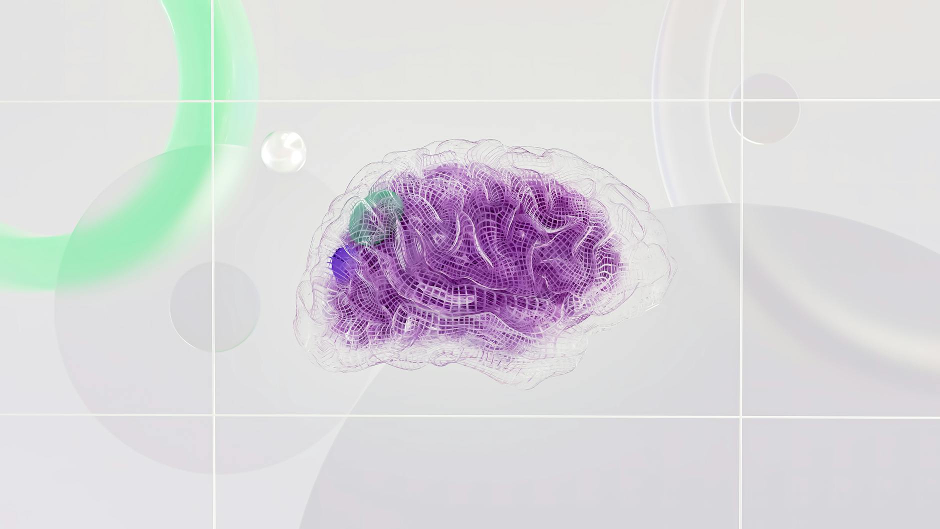 an artist's illustration inspired by neuroscience and the human brain it was created by novoto studio as par