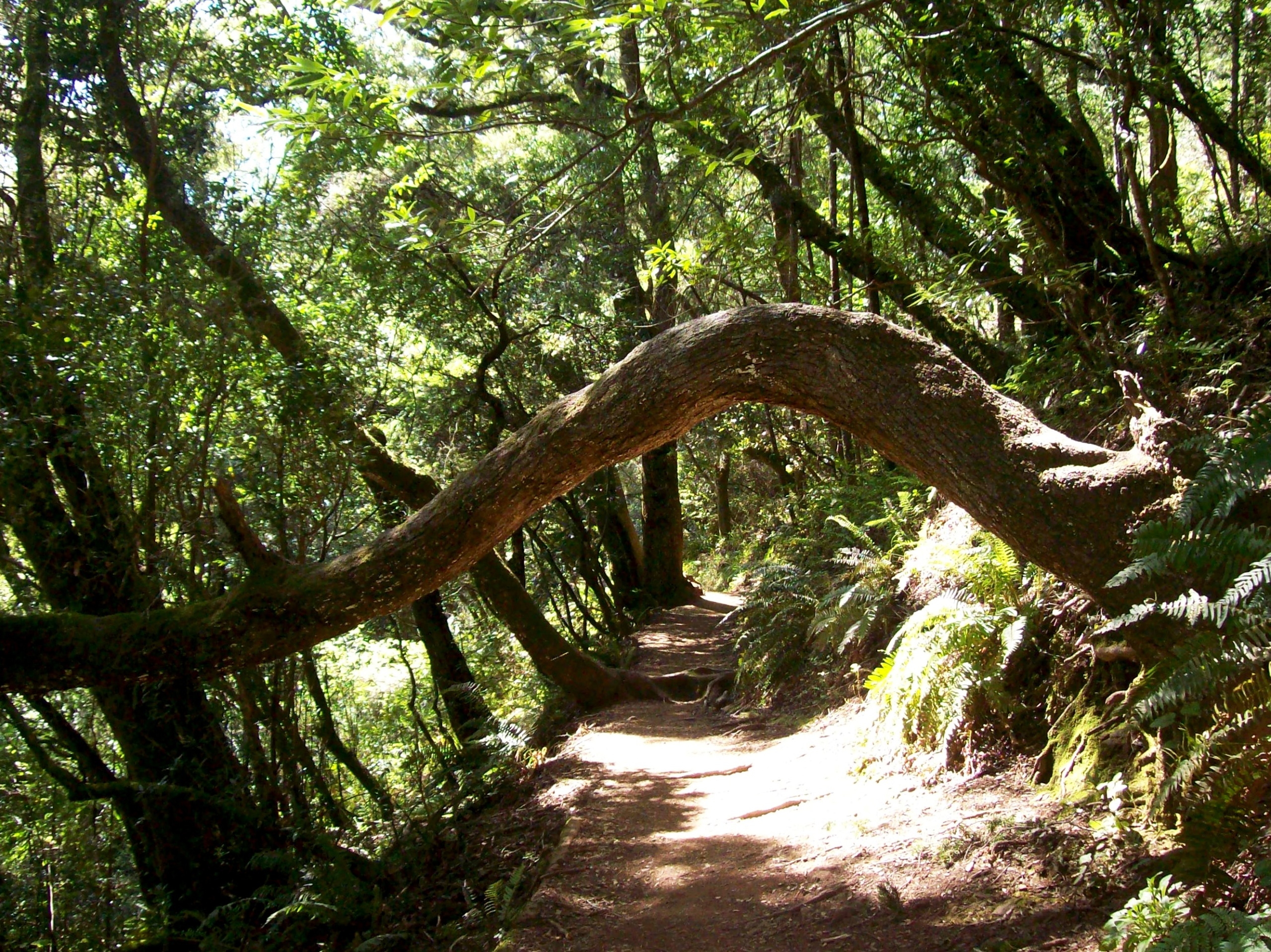 The road of progression not perfection.